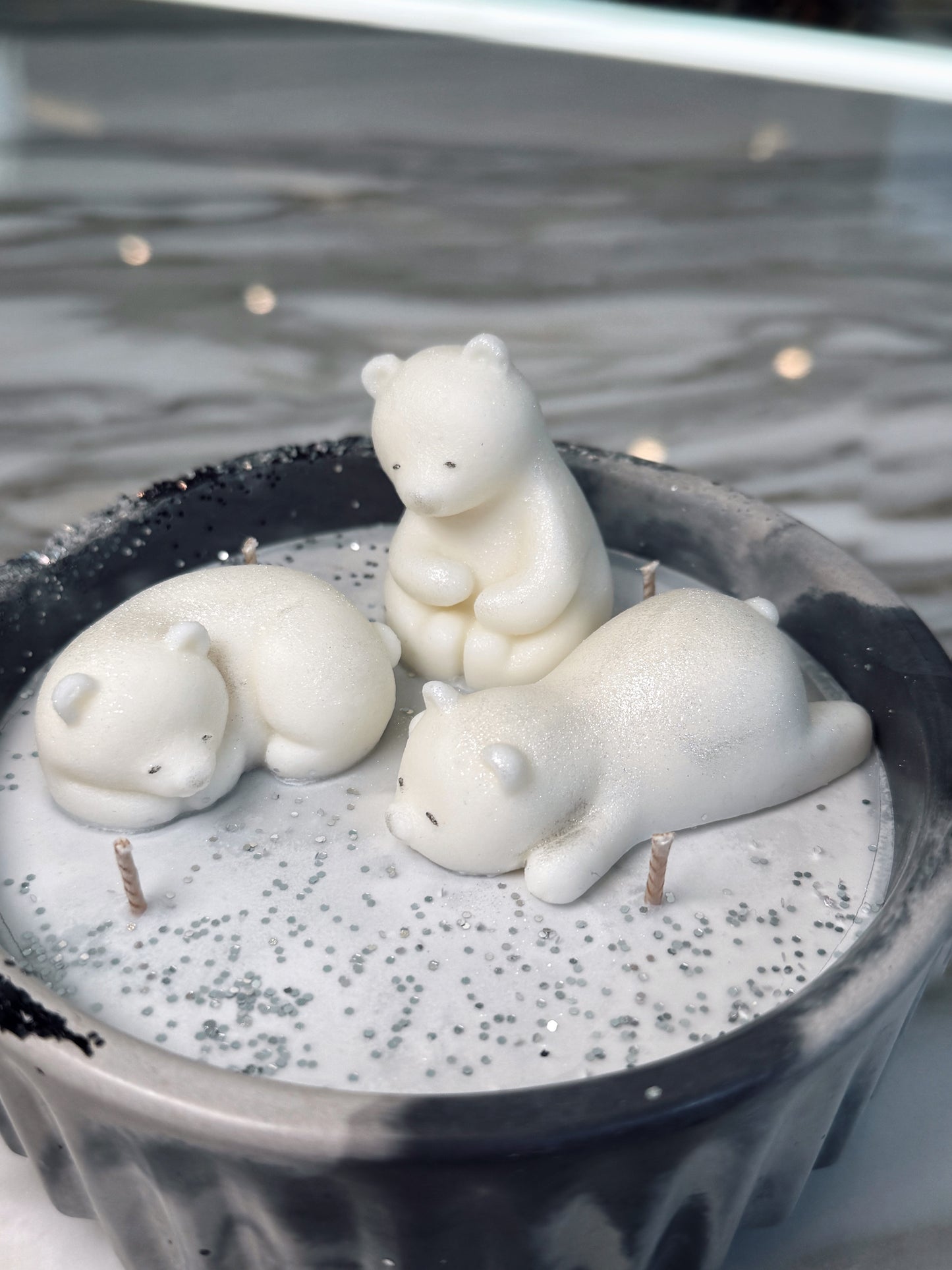 Polar Bears