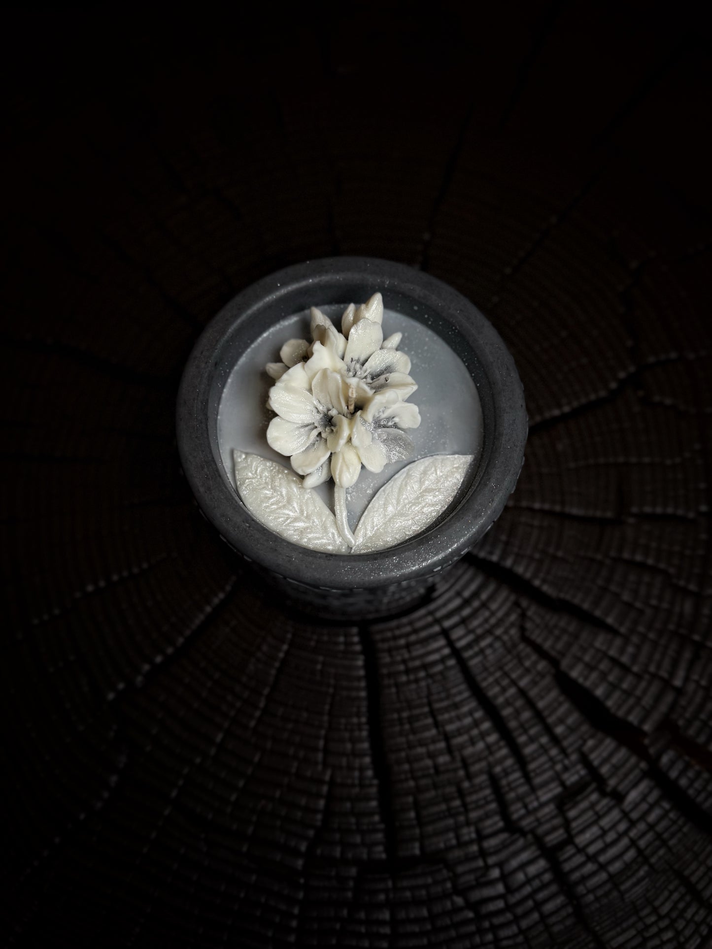 Flower Bloom